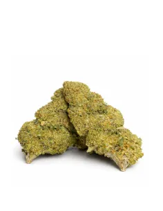 Fiore Apple Fritter 10-OH-HHC