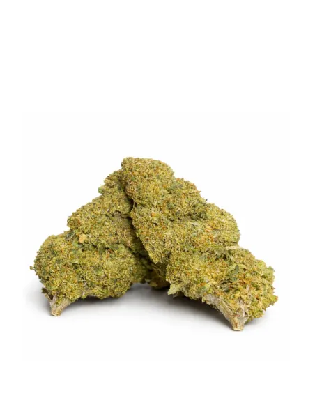 Fiore Apple Fritter 10-OH-HHC – vista principale