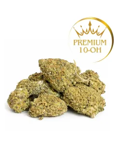 Girl Scout Cookie 10-OH-HHC Flower | High Performance