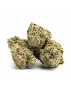 %product-name% main de