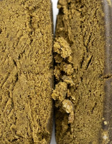 THCX Hash Godzilla Kush closeup