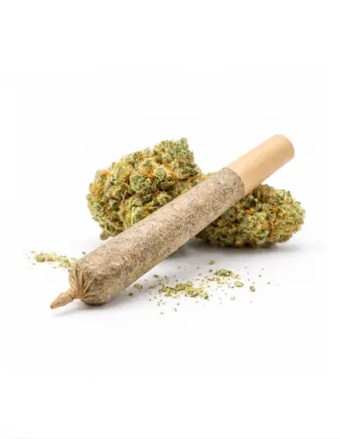 Pré-Roll THCX Apple Fritter | Intensité premium