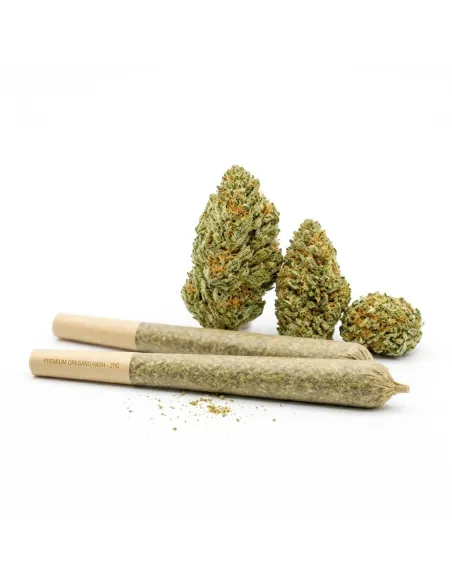 THCX Pre-Roll Blueberry main