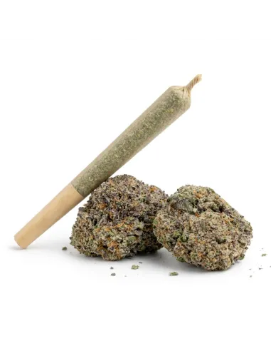 THCX Pre-Roll Skywalker OG main