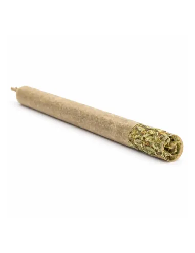 Pre-roll THCX Girl Scout Cookie inside