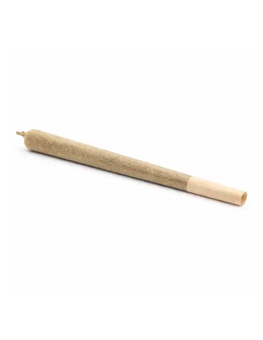 Pré-Roll THCX Sorbetto | Intensité premium