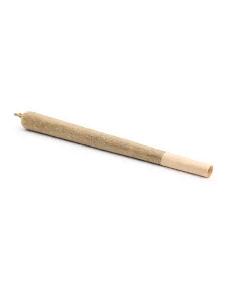 THCX Pre-Roll Sorbetto | Premium Intensity