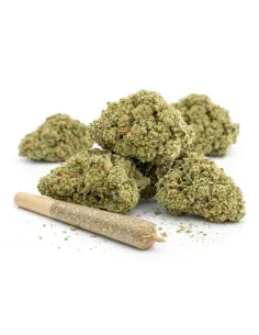 Pre-roll THCX Girl Scout Cookie main