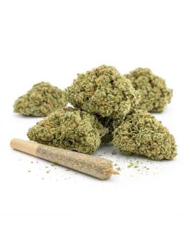 Pre-roll THCX Girl Scout Cookie main