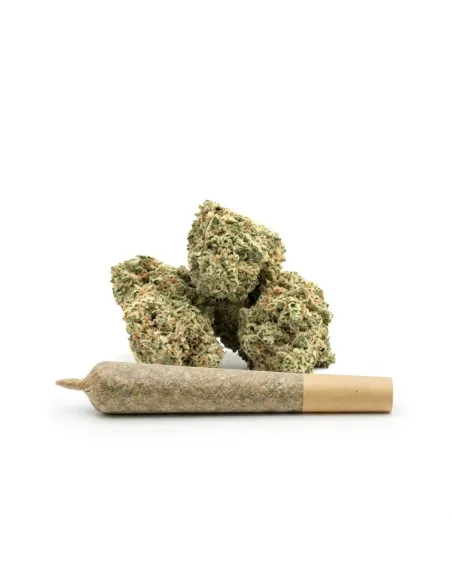 THCX Pre-Roll Lemonade main