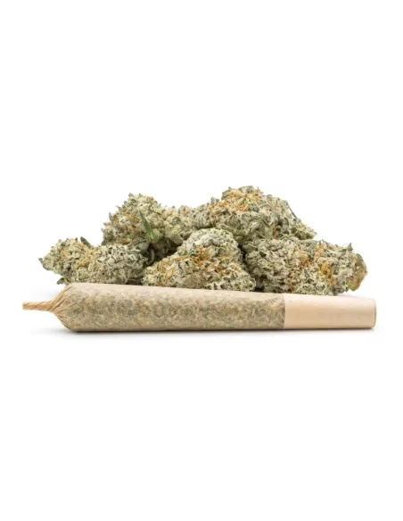 THCX Pre-Roll Sugar Cream main