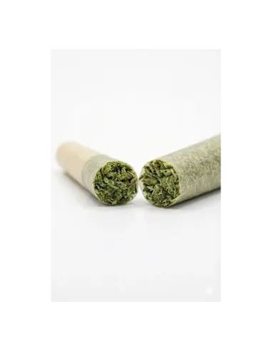 THCX Pre-Roll Sugar Cream cut