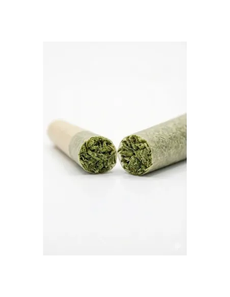 THCX Pre-Roll Sugar Cream cut