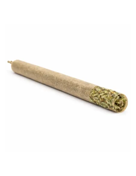 THCX Pre-Roll Sugar Cream inside