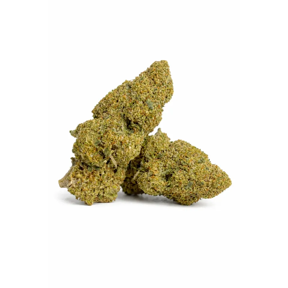Fleurs THCX Apple Fritter – vue principale