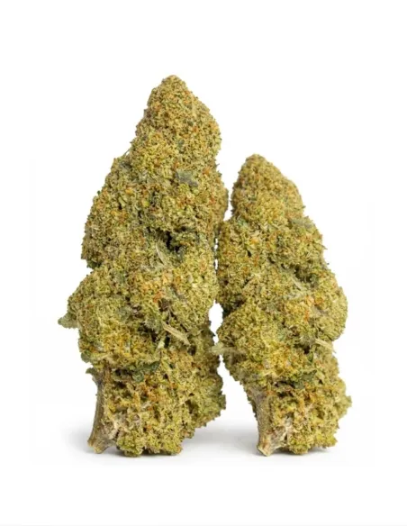 THCX Fleur Apple Fritter | Effets puissants