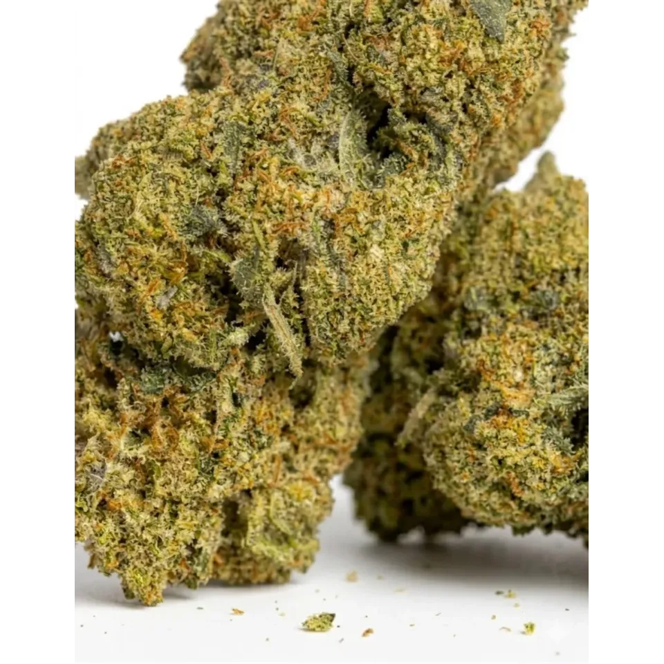 Fleurs THCX Apple Fritter – vue principale