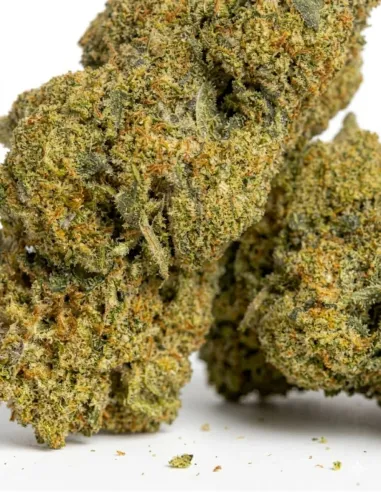 THCX Fleur Apple Fritter | Effets puissants