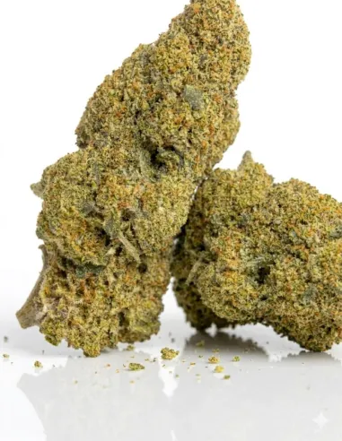 THCX Flower Apple Fritter 2