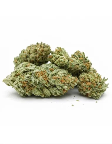 THCX Blüte Blueberry | Intensiver Premiumgenuss