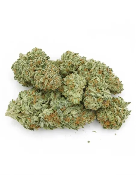 THCX Blüte Blueberry | Intensiver Premiumgenuss