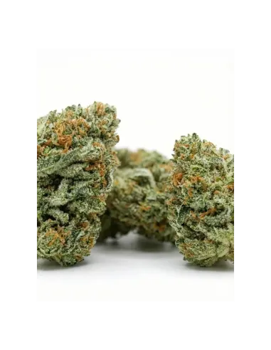 THCX Fleur Blueberry | Saveur intense premium