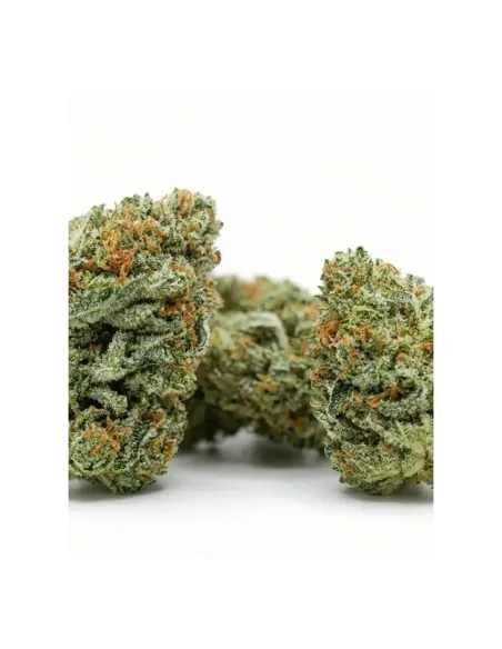 THCX Blüte Blueberry | Intensiver Premiumgenuss