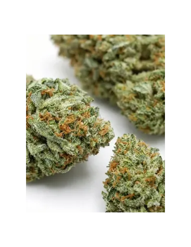 THCX Fleur Blueberry | Saveur intense premium