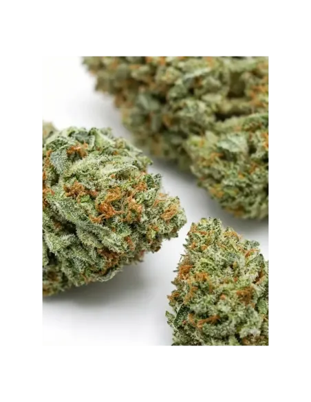 Fiori THCX Blueberry – vista principale