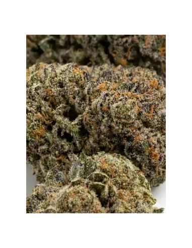 Fleurs THCX Skywalker OG | Effets intenses