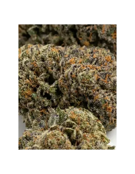 THCX Flower Skywalker OG closeup