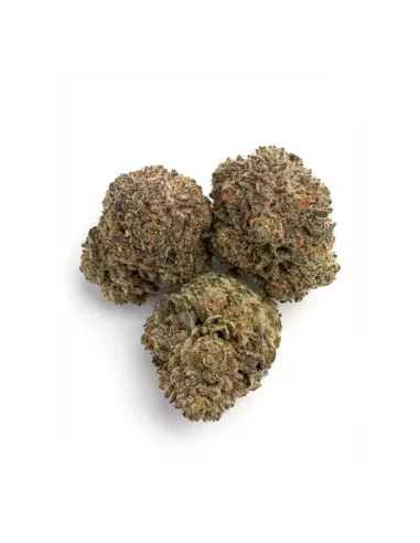 THCX Flower Skywalker OG top 2