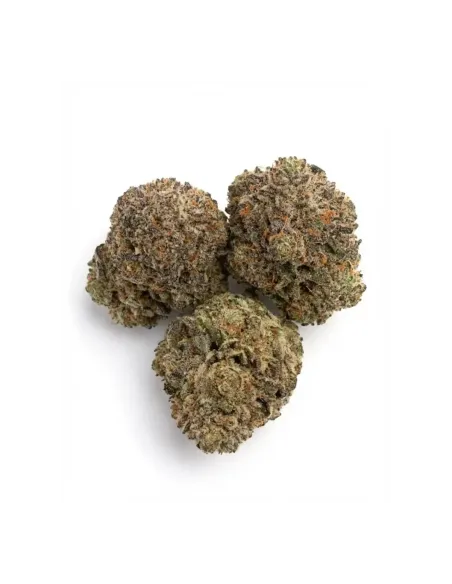 THCX Flower Skywalker OG top 2