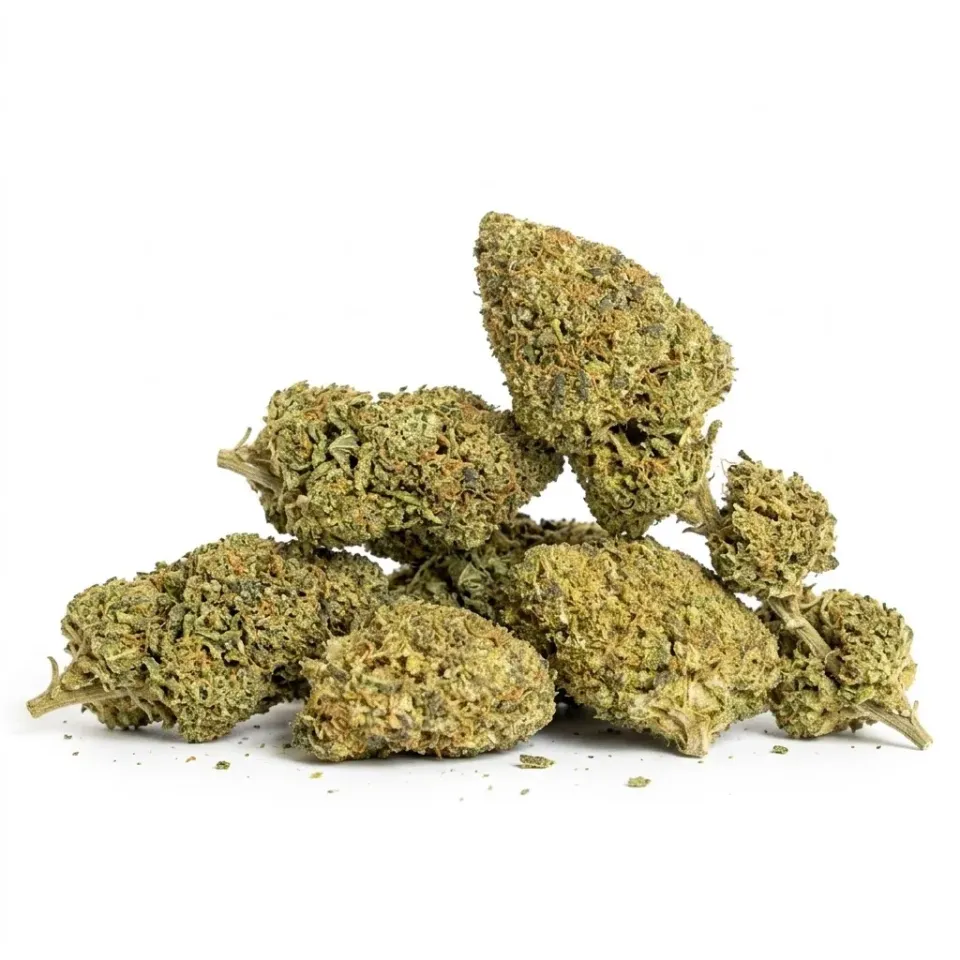 THCX Blüte Girl Scout Cookie | Premium Stärke
