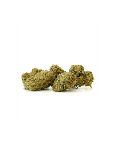 THCX Blüte Sorbetto | Intensiver Premiumgenuss