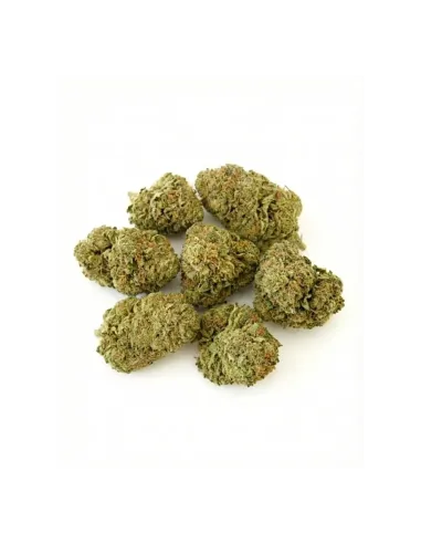 THCX Flower Sorbetto top