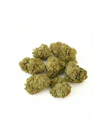 THCX Fleur Sorbetto | Saveur premium intense