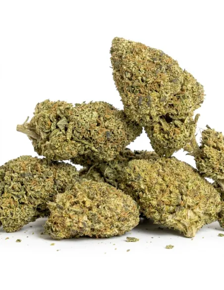 THCX Flower Girl Scout Cookie closeup