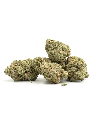 THCX Blüte Lemonade | Premium Intensität