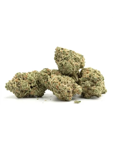 THCX Blüte Lemonade | Premium Intensität