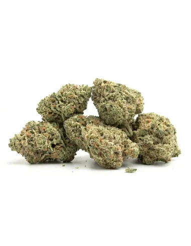 THCX Blüte Lemonade | Premium Intensität