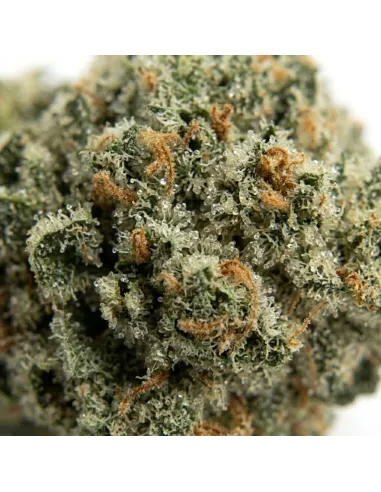 THCX Blüte Lemonade | Premium Intensität