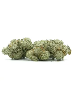 THCX Flower Sugar Cream main