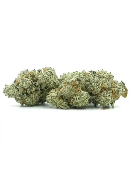 THCX Fleur Sugar Cream | Intensité gourmande