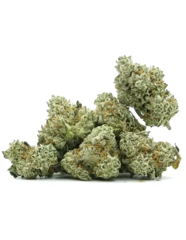 THCX Fleur Sugar Cream | Intensité gourmande