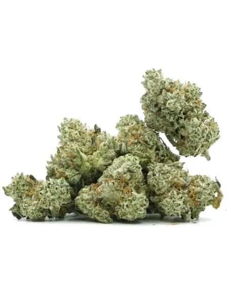 THCX Flower Sugar Cream 1