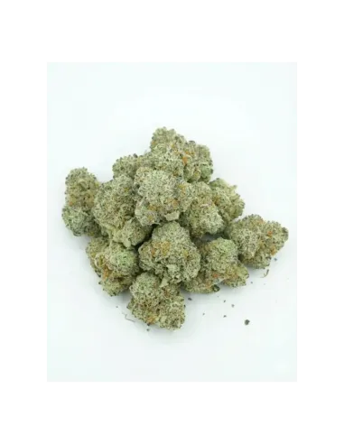 THCX Blüte Sugar Cream | Cremige Premiumstärke