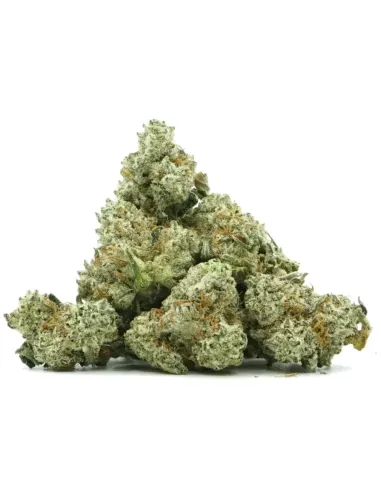 THCX Flower Sugar Cream side