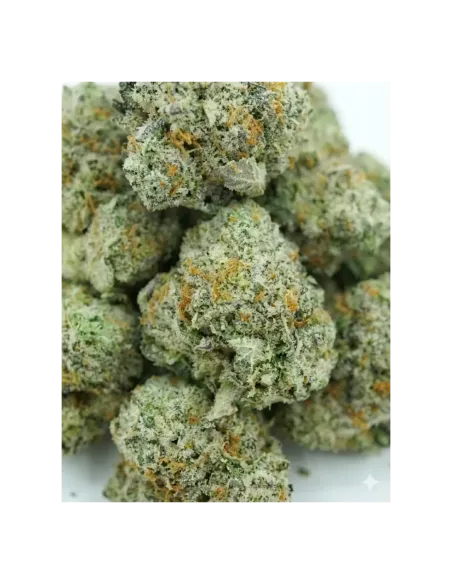 THCX Flower Sugar Cream closeup