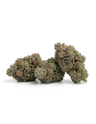 Meta title: THCX Fleur Bullet Kush | Puissance premium
